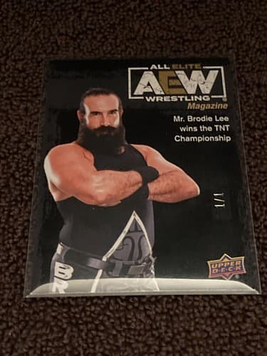 2021 Upper Deck AEW All Elite Wrestling - Mr. Brodie Lee 1/1