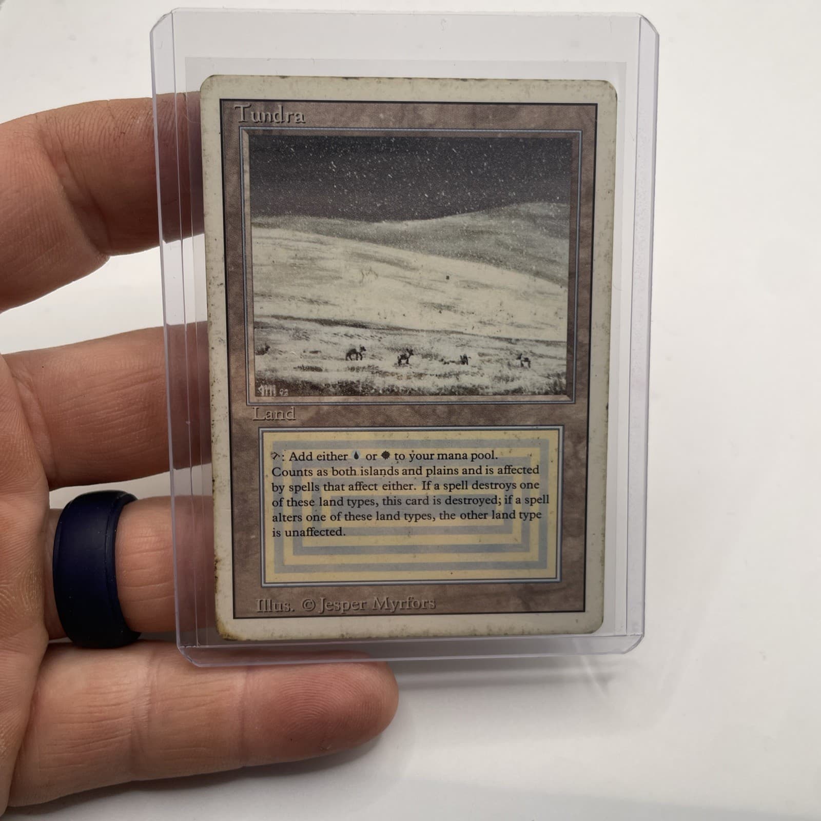 Magic: The Gathering.  Tundra Revised Edition Regular