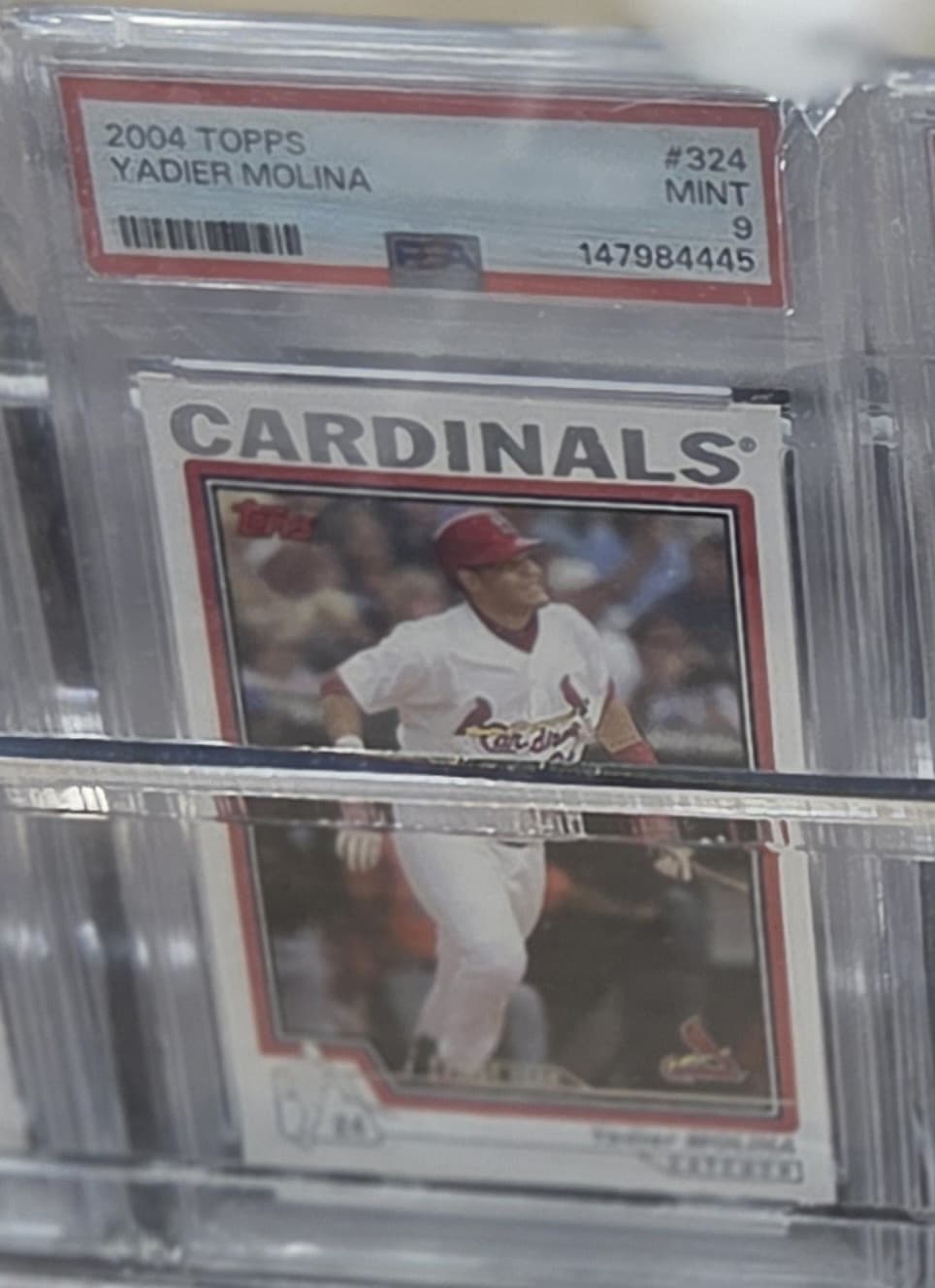 Topps 2004 Yadier Molina #324 St. Louis Cardinals Baseball Card MLB