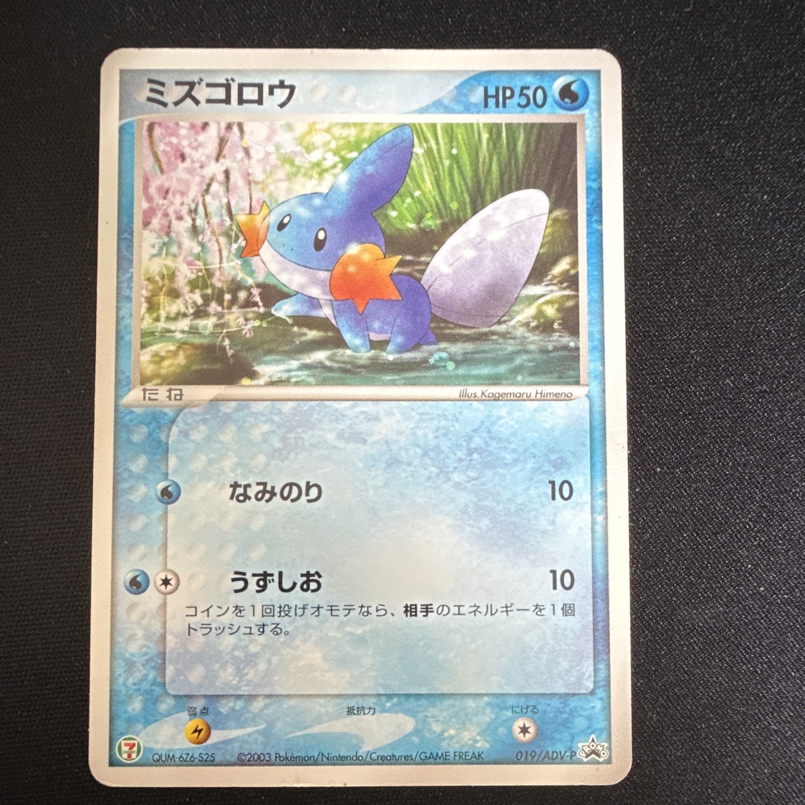 Mudkip 019/Adv-p 711 Promotional Cards Regular (Japanese) Pokemon TCG LP