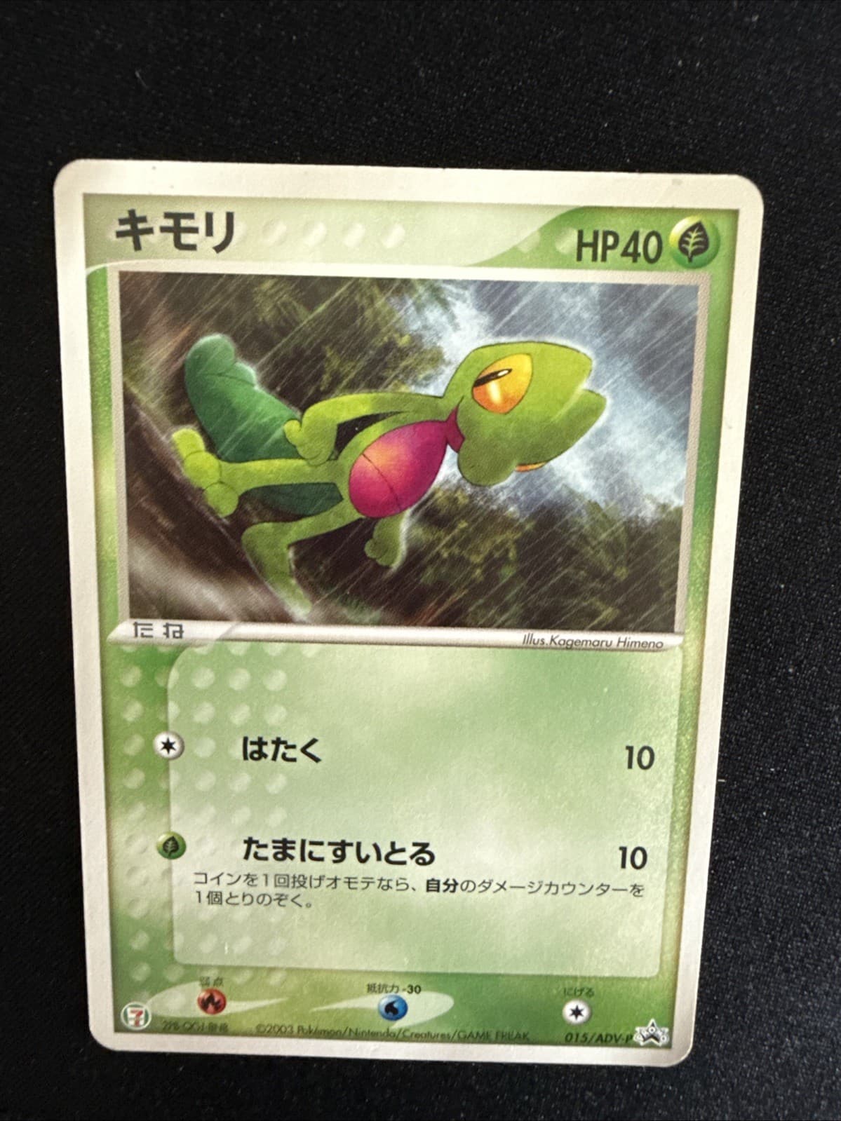 Pokemon TCG Treecko - 015/Adv-p - (711 Promo) Japanese Promo LP