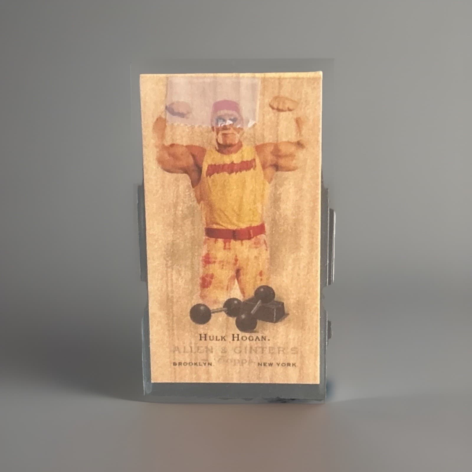 2006 Allen & Ginter WWF/WWE Hulk Hogan Mini wood Card 1/1 !